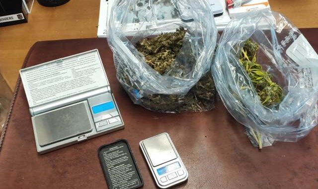 caronno serra marijuana