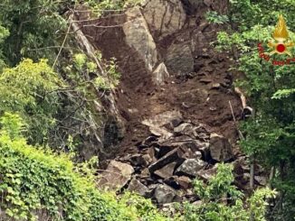 frana colmegna