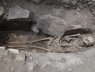 insubria giornate osteoarcheologia medicina
