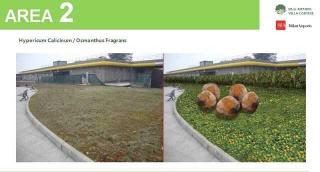 malpensa progetti aree verdi scuole 