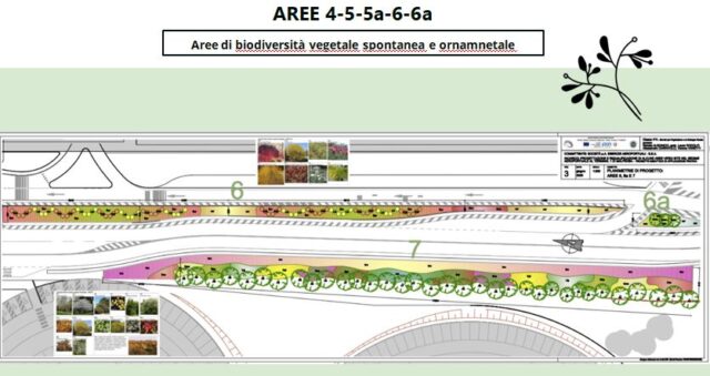 malpensa progetti aree verdi scuole 