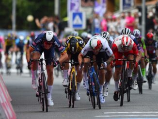 novara giro italia merlier