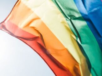 varese bandiera arcobaleno insubria lega giovani