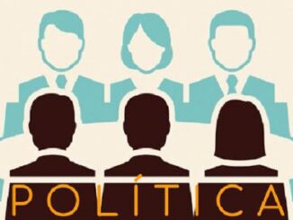 patrini politica arte mestiere