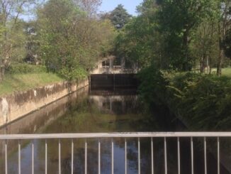 legnano intitolazione ponte Basaglia