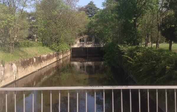 legnano intitolazione ponte Basaglia