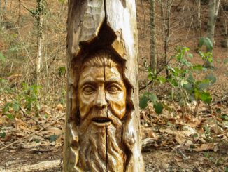 sentiero delle sculture