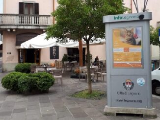 legnano gattile totem animali