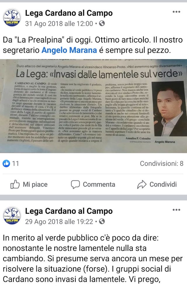 Cardano verde meri suriano