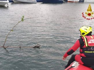 angera lago maggiore navigazione