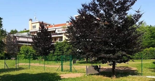 area cani vanzaghello parco gioco distrutto