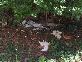legnano rifiuti pulizia cimitero