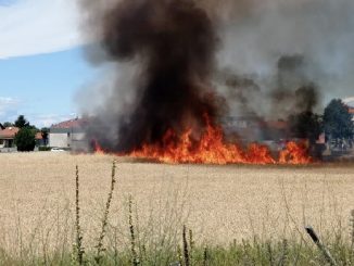 villacortese incendio campo vigilidelfuoco