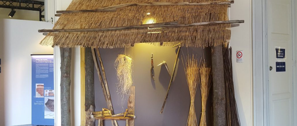 mostra villa Mirabello