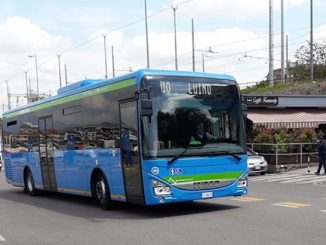 grantola bus