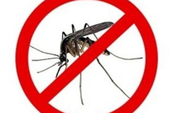 rescaldina zanzare lotta insetticidi