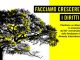 legnano amnesty international comune