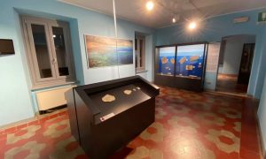 Museo Fossili Besano