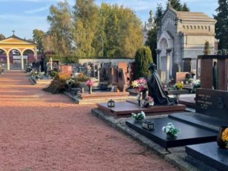 solbiate cimitero manutenzione lavori