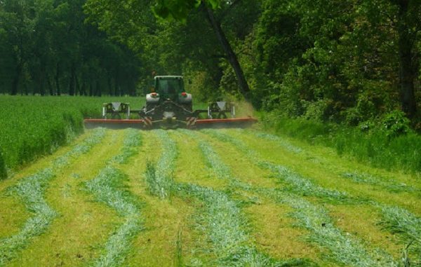 varese coldiretti parco ticino