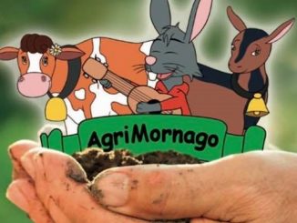 agrimornago animali fattoria acqua 01