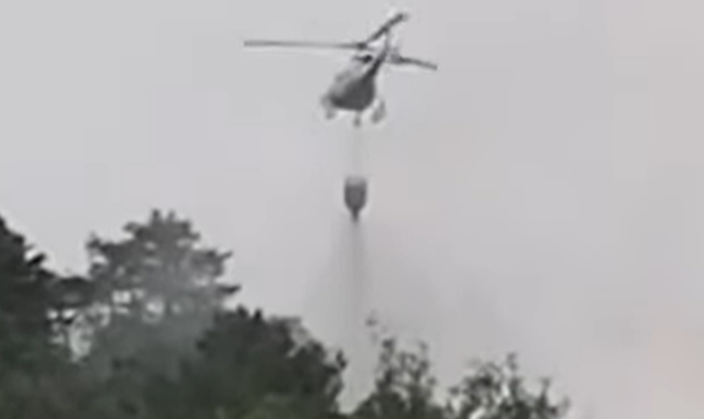 angera incendio area boschiva
