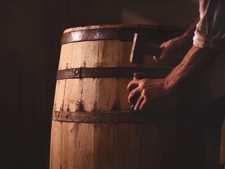 bottini moderati centro