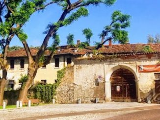 somma spes fattorie visconti comitato
