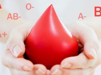 mornago avis donazione sangue