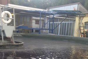 castellanza morto 15enne