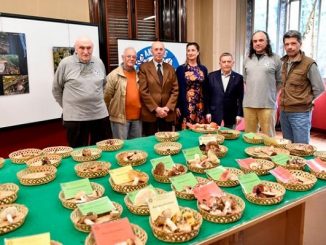 legnano mostra funghi antares