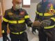 saronno riccio vigili fuoco