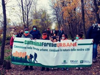 bustoarsizio parco altomilanese passeggiata
