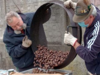 azzate alpini castagne