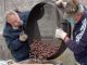 azzate alpini castagne