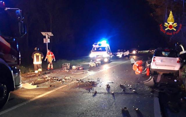 Germignaga incidente frontale cane