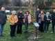 Amnesty Varese