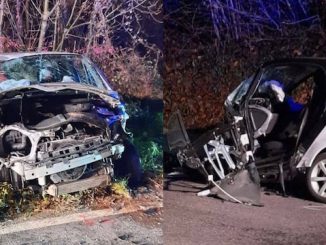 Germignaga incidente frontale cane