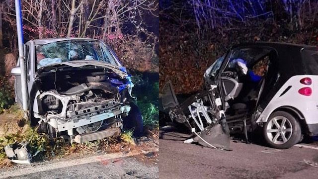 Germignaga incidente frontale cane