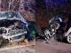 Germignaga incidente frontale cane
