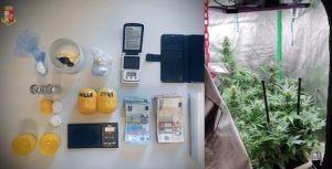 cocaina serra marijuana gallarate