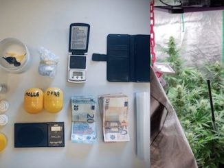 cocaina serra marijuana gallarate