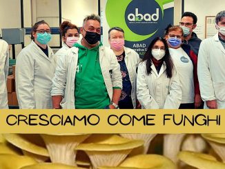 Cooperativa Abad