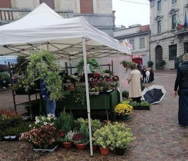 Gallarate mercato contadino