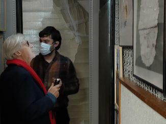 gallarate maga vittorio sgarbi