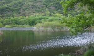 Lago di Ganna
