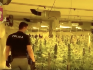 gallarate banda albanesi marijuana