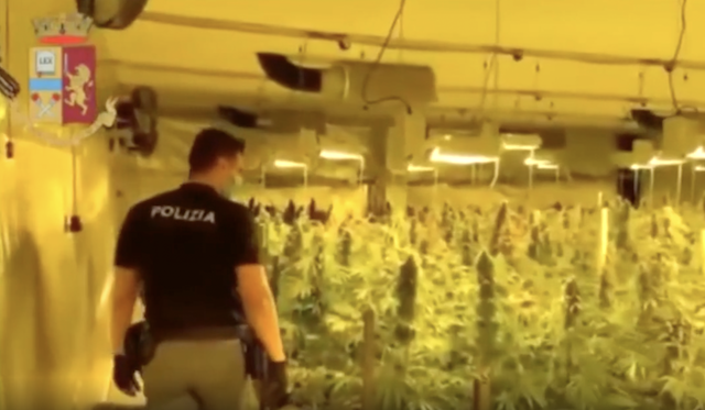 gallarate banda albanesi marijuana