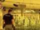 gallarate banda albanesi marijuana