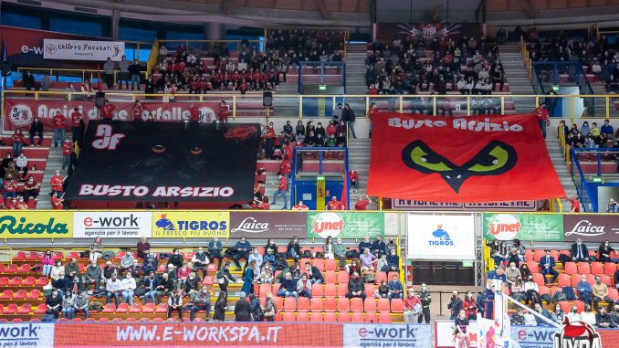 amici delle farfalle